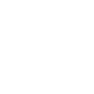 güvenlik
